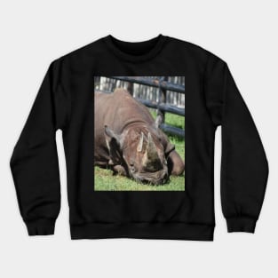 Black Rhino Crewneck Sweatshirt